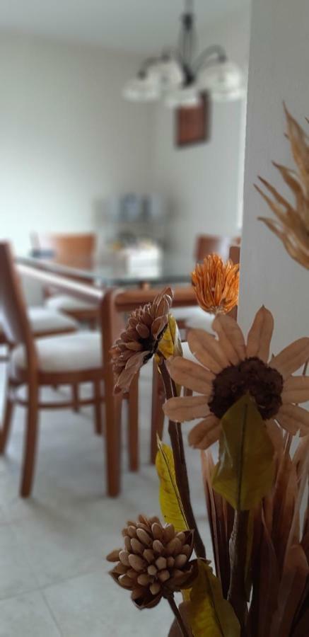 Rusalka Apart-residence Apartment